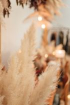 Festival-YOUME-montpellier-Histoire-d-Ange-24