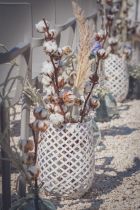 Histoire-d-Ange-Domaine-de-la-grande-sieste-11