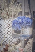 Histoire-d-Ange-Domaine-de-la-grande-sieste-9