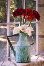 Mariage-Photographe-Wedding-Planner-Maquilleuse-Robe-Nimes-Montpellier-Gard-Herault-Lifestyle-02