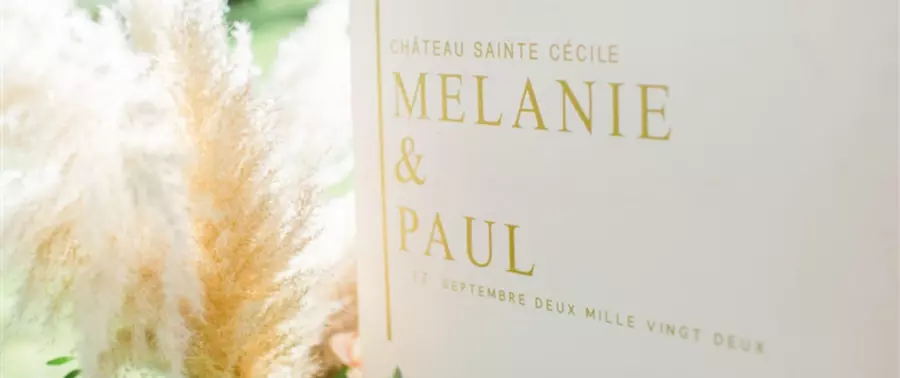 Image du mariage de Mélanie & Paul